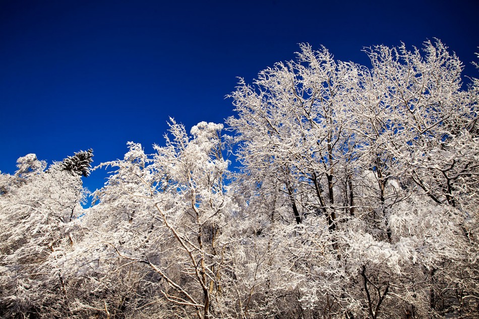 20100105bel136_sno_traer
