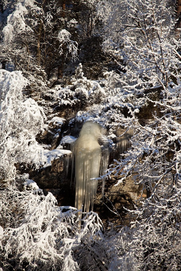 20100106bel154_osteroy_frost