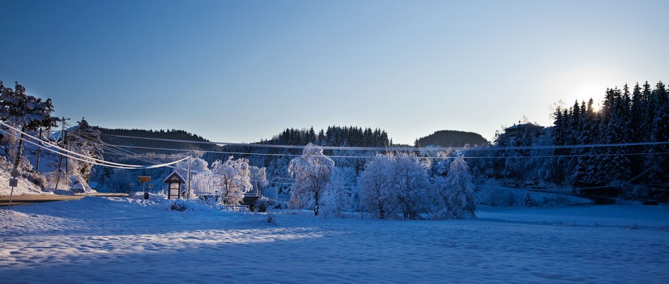 20100106bel_osteroy_buss_stopp